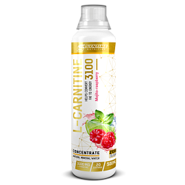 Syntime Nutrition L-carnitine 3100 500 ml Mojito-raspberry