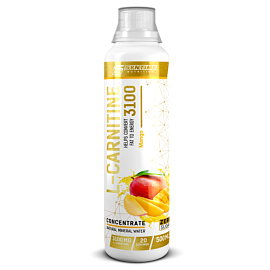 Syntime Nutrition L-carnitine 3100 500 ml Mango