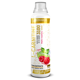 L-карнитин Syntime Nutrition 3100, 500 мл, мохито-малина