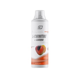 2SN L-Carnitine+Guarana 500 ml Mango